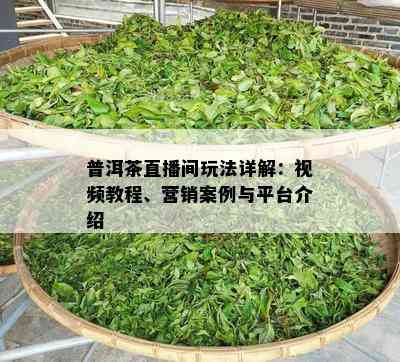 普洱茶直播间玩法详解：视频教程、营销案例与平台介绍