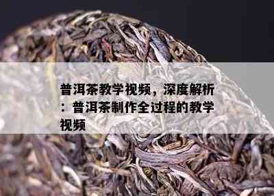 普洱茶教学视频，深度解析：普洱茶制作全过程的教学视频