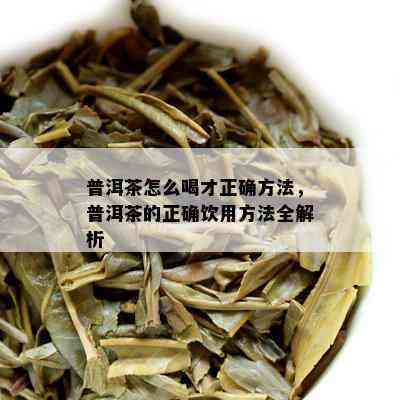 普洱茶怎么喝才正确方法，普洱茶的正确饮用方法全解析