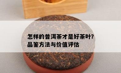 怎样的普洱茶才是好茶叶？品鉴方法与价值评估