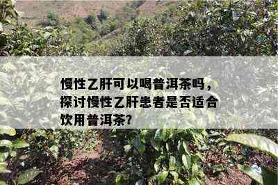 慢性乙肝可以喝普洱茶吗，探讨慢性乙肝患者是否适合饮用普洱茶？