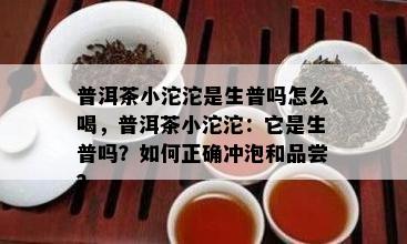 普洱茶小沱沱是生普吗怎么喝，普洱茶小沱沱：它是生普吗？如何正确冲泡和品尝？