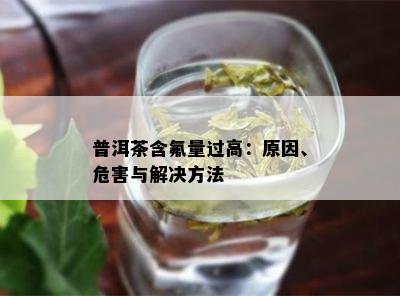 普洱茶含氟量过高：原因、危害与解决方法