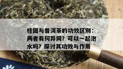 桂圆与普洱茶的功效区别：两者有何异同？可以一起泡水吗？探讨其功效与作用