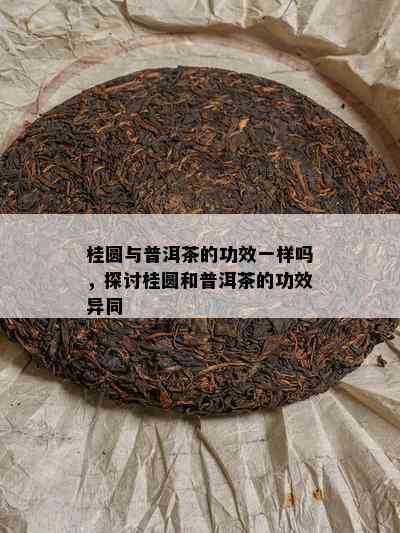 桂圆与普洱茶的功效一样吗，探讨桂圆和普洱茶的功效异同