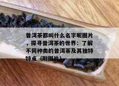 普洱茶都叫什么名字呢图片，探寻普洱茶的世界：了解不同种类的普洱茶及其独特特点（附图片）