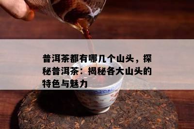 普洱茶都有哪几个山头，探秘普洱茶：揭秘各大山头的特色与魅力