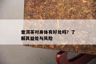 普洱茶对身体有好处吗？了解其益处与风险