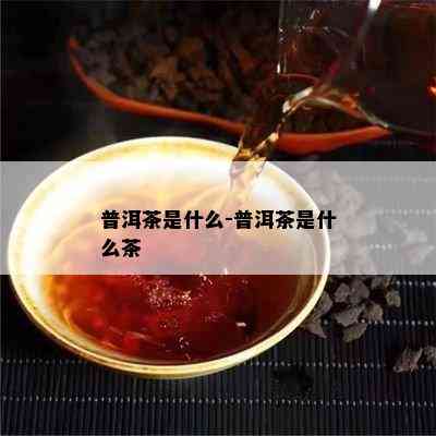 普洱茶是什么-普洱茶是什么茶