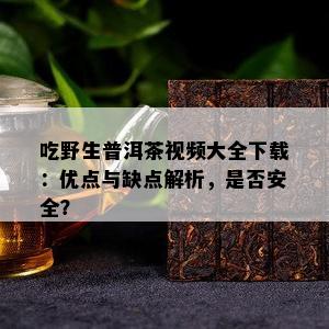 吃野生普洱茶视频大全下载：优点与缺点解析，是否安全？