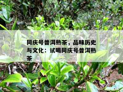 同庆号普洱熟茶，品味历史与文化：试喝同庆号普洱熟茶