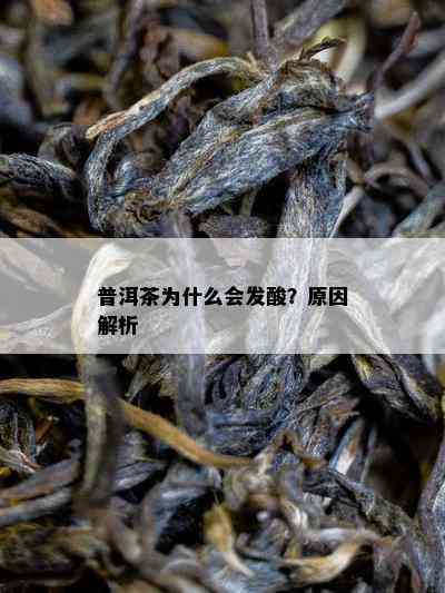 普洱茶为什么会发酸？原因解析