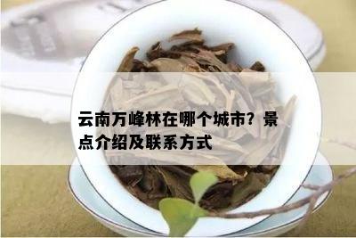 云南万峰林在哪个城市？景点介绍及联系方式