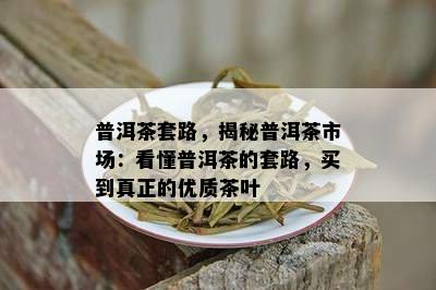 普洱茶套路，揭秘普洱茶市场：看懂普洱茶的套路，买到真正的优质茶叶