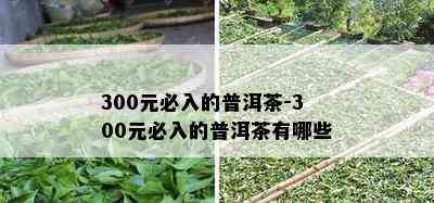 300元必入的普洱茶-300元必入的普洱茶有哪些