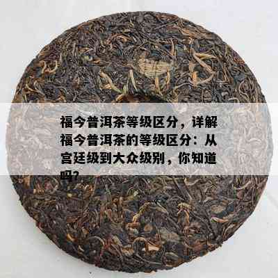 福今普洱茶等级区分，详解福今普洱茶的等级区分：从宫廷级到大众级别，你知道吗？