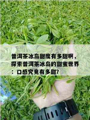 普洱茶冰岛甜度有多甜啊，探索普洱茶冰岛的甜蜜世界：口感究竟有多甜？