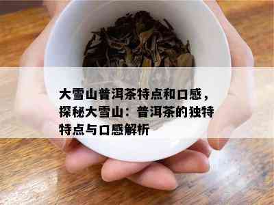 大雪山普洱茶特点和口感，探秘大雪山：普洱茶的独特特点与口感解析