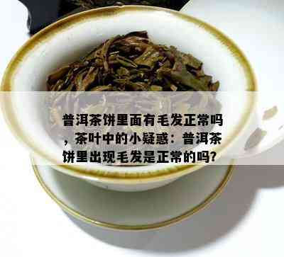 普洱茶饼里面有毛发正常吗，茶叶中的小疑惑：普洱茶饼里出现毛发是正常的吗？