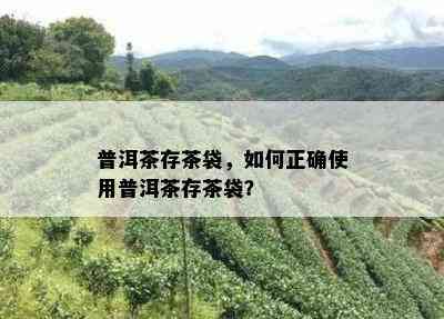 普洱茶存茶袋，如何正确使用普洱茶存茶袋？