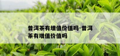 普洱茶有增值价值吗-普洱茶有增值价值吗