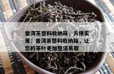 普洱茶塑料收纳箱，方便实用：普洱茶塑料收纳箱，让您的茶叶更加整洁易取