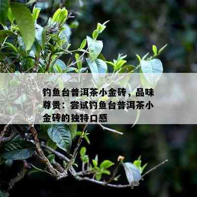 钓台普洱茶小金砖，品味尊贵：尝试钓台普洱茶小金砖的独特口感