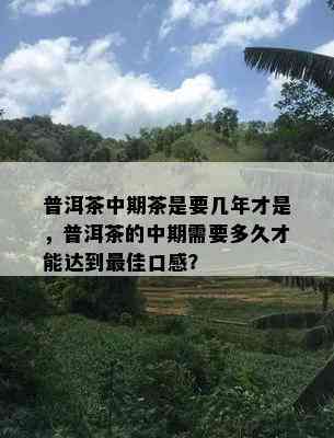 普洱茶中期茶是要几年才是，普洱茶的中期需要多久才能达到更佳口感？