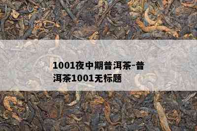 1001夜中期普洱茶-普洱茶1001无标题