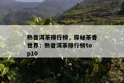 熟普洱茶排行榜，探秘茶香世界：熟普洱茶排行榜top10