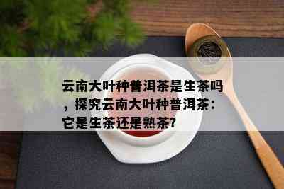 云南大叶种普洱茶是生茶吗，探究云南大叶种普洱茶：它是生茶还是熟茶？