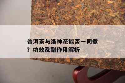 普洱茶与洛神花能否一同煮？功效及副作用解析