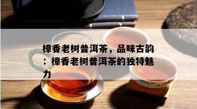 樟香老树普洱茶，品味古韵：樟香老树普洱茶的独特魅力