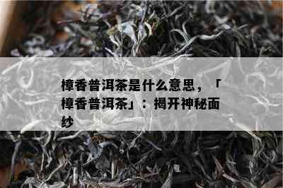 樟香普洱茶是什么意思，「樟香普洱茶」：揭开神秘面纱