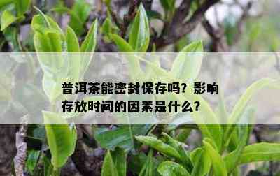 普洱茶能密封保存吗？影响存放时间的因素是什么？