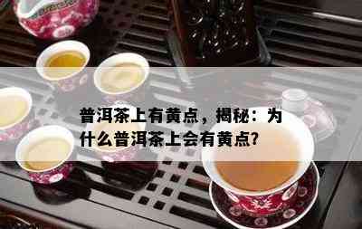 普洱茶上有黄点，揭秘：为什么普洱茶上会有黄点？