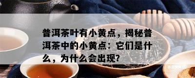 普洱茶叶有小黄点，揭秘普洱茶中的小黄点：它们是什么，为什么会出现？