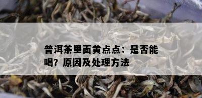 普洱茶里面黄点点：是否能喝？原因及处理方法