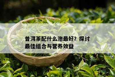 普洱茶配什么泡更好？探讨更佳组合与营养效益