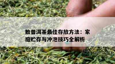 散普洱茶更佳存放方法：家庭贮存与冲泡技巧全解析