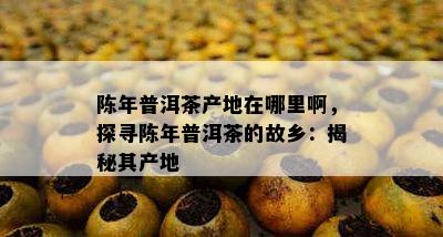 陈年普洱茶产地在哪里啊，探寻陈年普洱茶的故乡：揭秘其产地