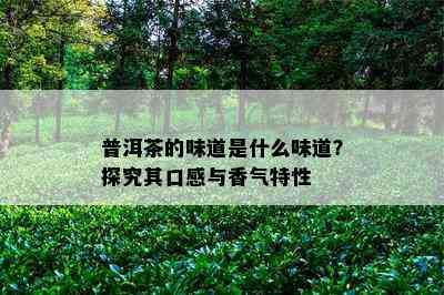 普洱茶的味道是什么味道？探究其口感与香气特性