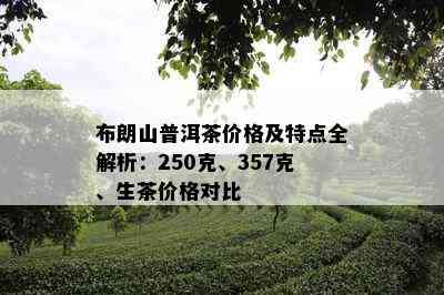 布朗山普洱茶价格及特点全解析：250克、357克、生茶价格对比