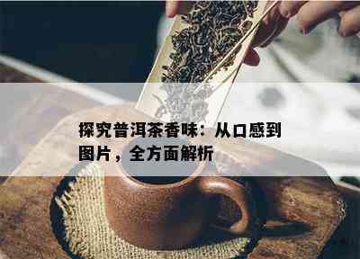 探究普洱茶香味：从口感到图片，全方面解析