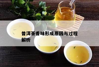 普洱茶香味形成原因与过程解析