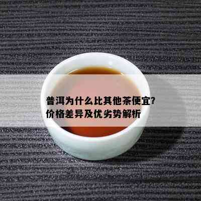 普洱为什么比其他茶便宜？价格差异及优劣势解析