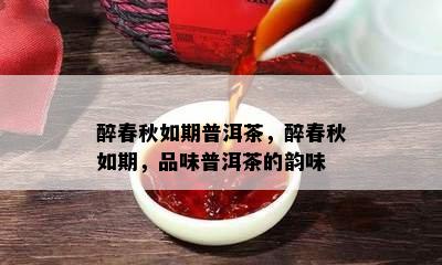 醉春秋如期普洱茶，醉春秋如期，品味普洱茶的韵味