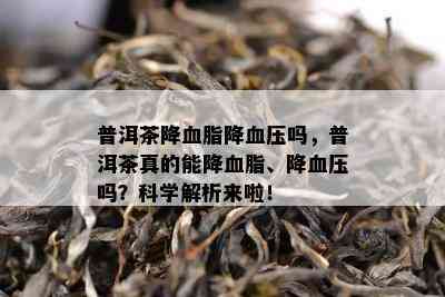 普洱茶降血脂降血压吗，普洱茶真的能降血脂、降血压吗？科学解析来啦！