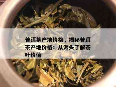 普洱茶产地价格，揭秘普洱茶产地价格：从源头了解茶叶价值