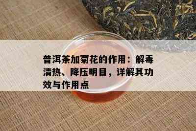 普洱茶加菊花的作用：解清热、降压明目，详解其功效与作用点